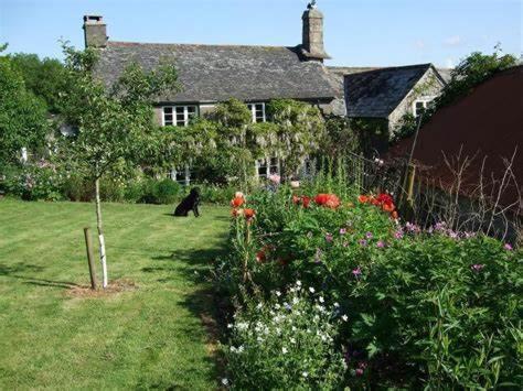 Corndonford Farm Bed & Breakfast Newton Abbot Dış mekan fotoğraf