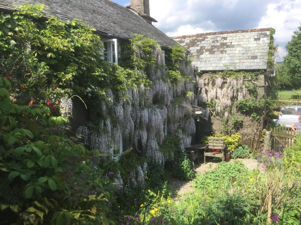 Corndonford Farm Bed & Breakfast Newton Abbot Dış mekan fotoğraf