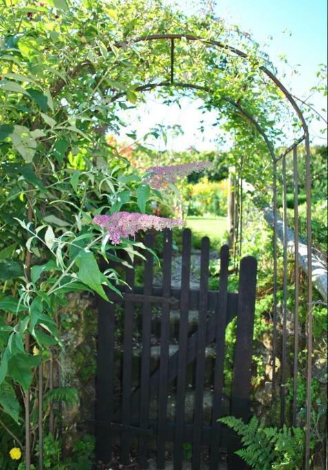 Corndonford Farm Bed & Breakfast Newton Abbot Dış mekan fotoğraf